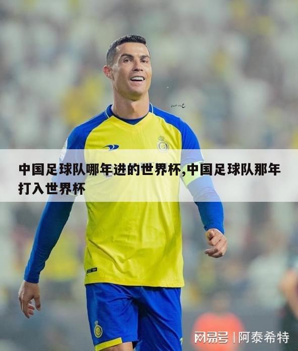 中国足球队哪年进的世界杯,中国足球队那年打入世界杯